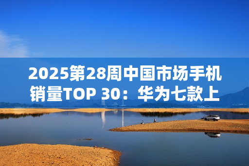 2025第28周中国市场手机销量TOP 30：华为七款上榜