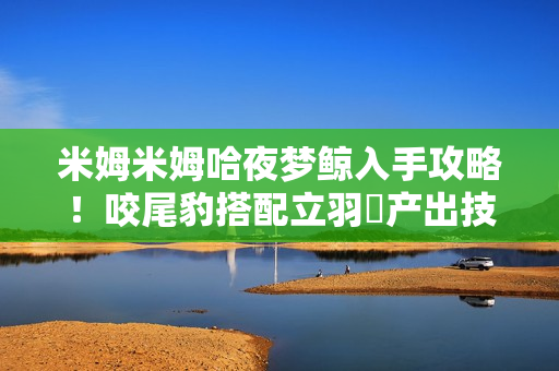 米姆米姆哈夜梦鲸入手攻略！咬尾豹搭配立羽鸮产出技巧