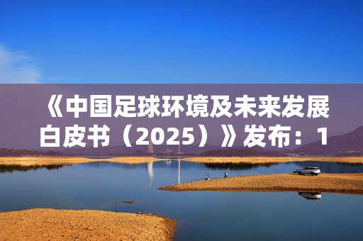 《中国足球环境及未来发展白皮书（2025）》发布：100吋大屏电视成标配