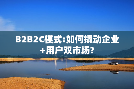 B2B2C模式:如何撬动企业+用户双市场?