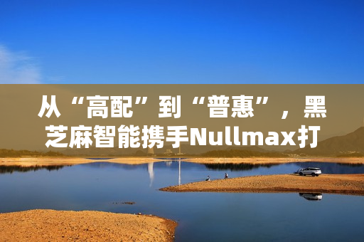 从“高配”到“普惠”,黑芝麻智能携手Nullmax打造辅助驾驶主流量产方案 从“高配”到“普惠”,黑芝麻智能携手Nullmax打造辅助驾驶主流量产方案