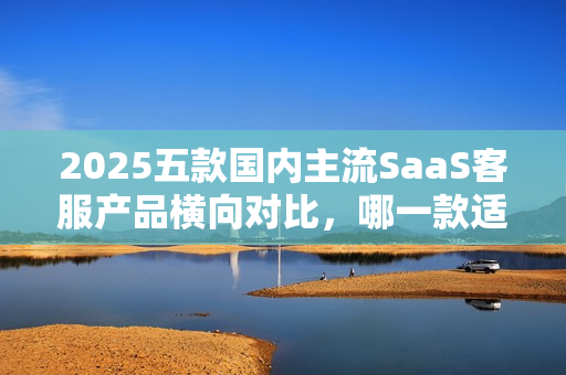 2025五款国内主流SaaS客服产品横向对比，哪一款适合您？