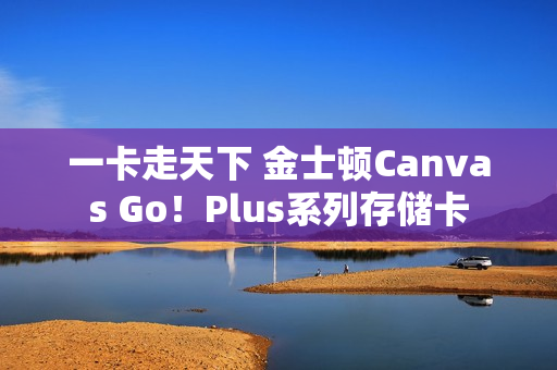 一卡走天下 金士顿Canvas Go!Plus系列存储卡 一卡走天下 金士顿Canvas Go!Plus系列存储卡