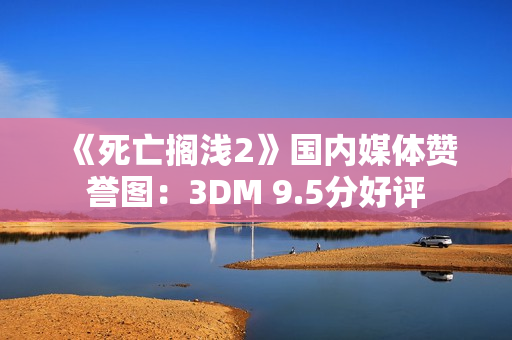 《死亡搁浅2》国内媒体赞誉图：3DM 9.5分好评