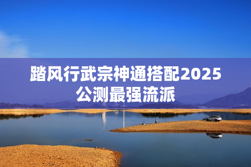踏风行武宗神通搭配2025公测最强流派