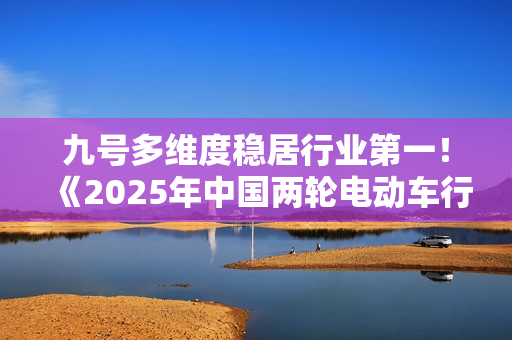九号多维度稳居行业第一！《2025年中国两轮电动车行业研究报告》权威发布