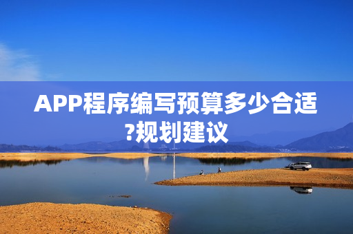 APP程序编写预算多少合适?规划建议