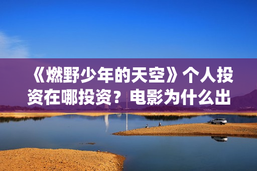 《燃野少年的天空》个人投资在哪投资？电影为什么出让份额?(燃野少年的天空百度百科)