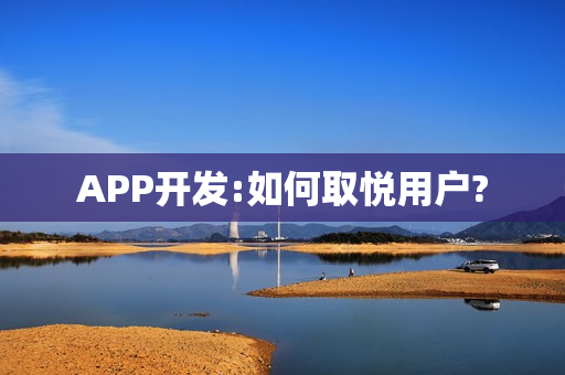 APP开发:如何取悦用户?
