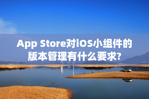 App Store对iOS小组件的版本管理有什么要求? App Store对iOS小组件的版本管理有什么要求?