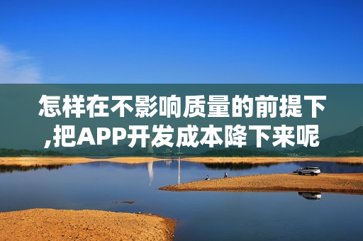 怎样在不影响质量的前提下,把APP开发成本降下来呢?