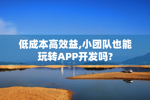低成本高效益,小团队也能玩转APP开发吗?