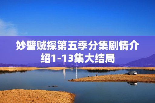 妙警贼探第五季分集剧情介绍1-13集大结局