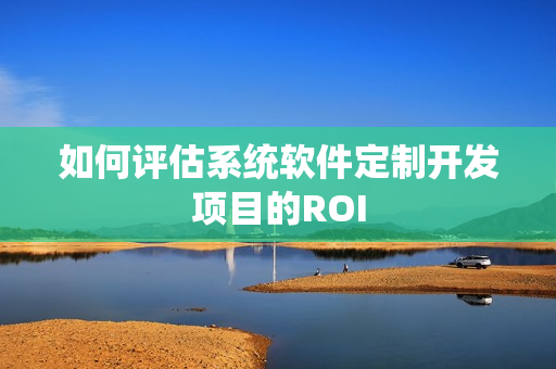 如何评估系统软件定制开发项目的ROI