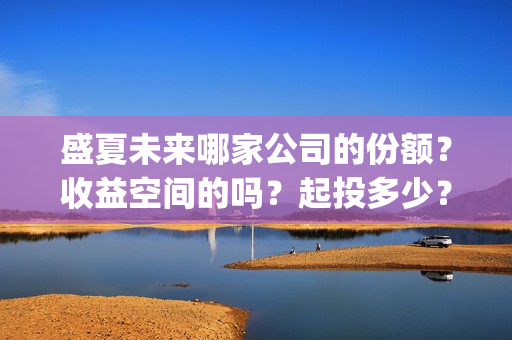 盛夏未来哪家公司的份额？收益空间的吗？起投多少？(盛夏未来king)