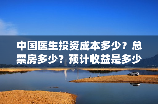 中国医生投资成本多少？总票房多少？预计收益是多少？(中国医生投资成本多少)