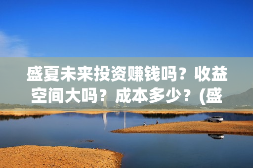 盛夏未来投资赚钱吗？收益空间大吗？成本多少？(盛夏未来投资赚了多少钱)