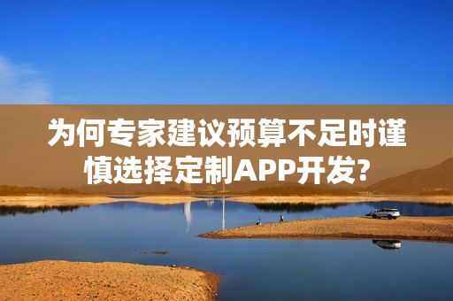 为何专家建议预算不足时谨慎选择定制APP开发?