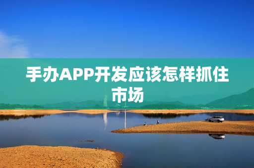 手办APP开发应该怎样抓住市场