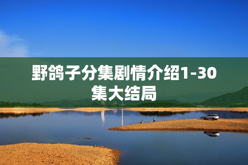 野鸽子分集剧情介绍1-30集大结局 野鸽子分集剧情介绍1-30集大结局