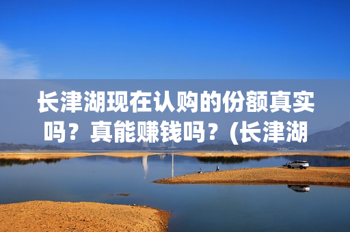 长津湖现在认购的份额真实吗？真能赚钱吗？(长津湖值得投资吗)
