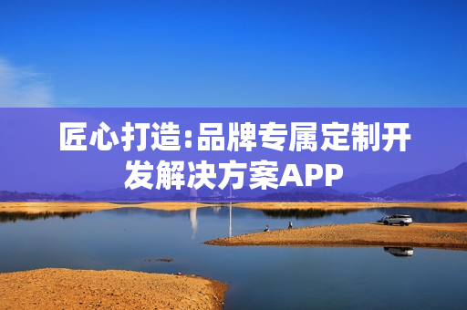 匠心打造:品牌专属定制开发解决方案APP