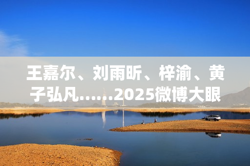 王嘉尔、刘雨昕、梓渝、黄子弘凡……2025微博大眼音乐节火热售票中！ (刘雨昕新歌王嘉尔)