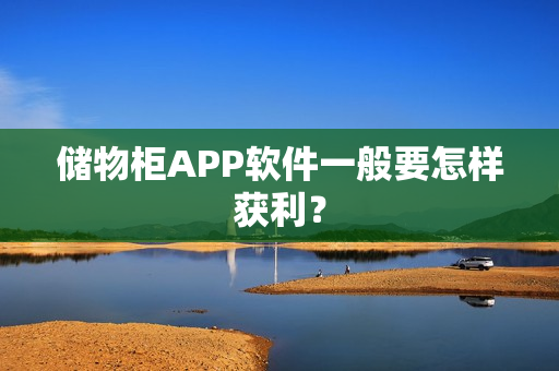储物柜APP软件一般要怎样获利？