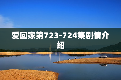 爱回家第723-724集剧情介绍