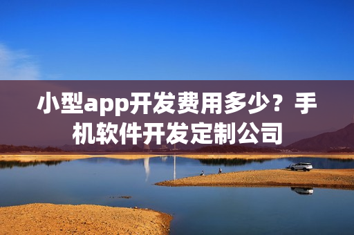 小型app开发费用多少？手机软件开发定制公司