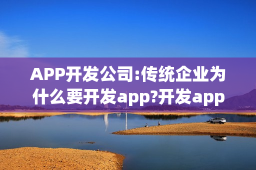 APP开发公司:传统企业为什么要开发app?开发app注意事项