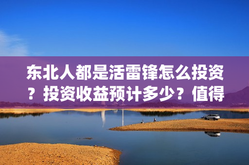 东北人都是活雷锋怎么投资？投资收益预计多少？值得参与投资吗？(东北人都是活雷锋雪村mv)