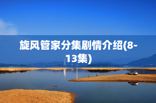 旋风管家分集剧情介绍(8-13集)