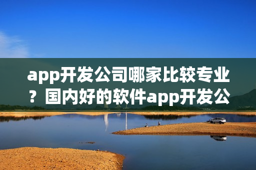 app开发公司哪家比较专业?国内好的软件app开发公司有哪些 app开发公司哪家比较专业?国内好的软件app开发公司有哪些