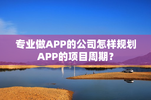 专业做APP的公司怎样规划APP的项目周期？