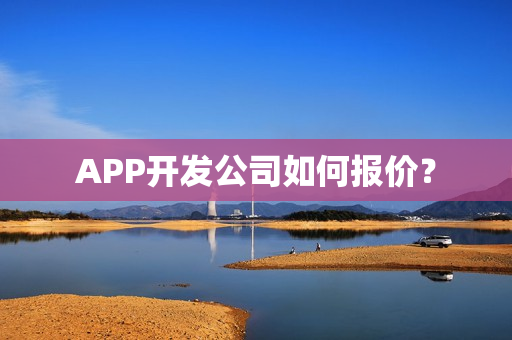 APP开发公司如何报价? APP开发公司如何报价?