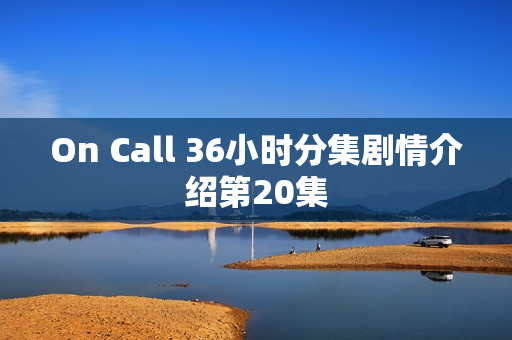 On Call 36小时分集剧情介绍第20集