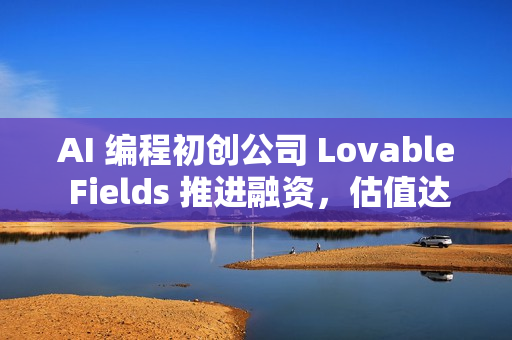 AI 编程初创公司 Lovable Fields 推进融资，估值达 40 亿美元