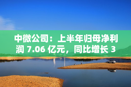 中微公司:上半年归母净利润 7.06 亿元,同比增长 36.62% 中微公司:上半年归母净利润 7.06 亿元,同比增长 36.62%