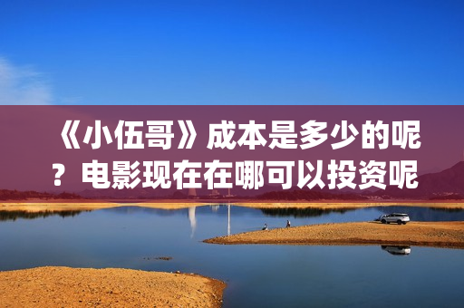 《小伍哥》成本是多少的呢？电影现在在哪可以投资呢？多少起投呢？(小伍哥预计上映时间)