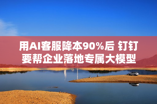 用AI客服降本90%后 钉钉要帮企业落地专属大模型