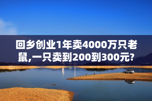回乡创业1年卖4000万只老鼠,一只卖到200到300元? 回乡创业1年卖4000万只老鼠,一只卖到200到300元?