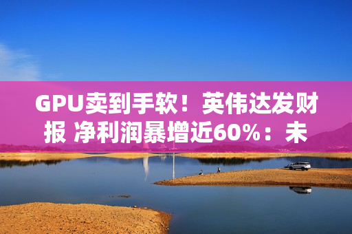 GPU卖到手软！英伟达发财报 净利润暴增近60%：未向中国客户销售H20