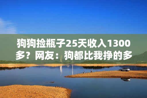狗狗捡瓶子25天收入1300多?网友:狗都比我挣的多 狗狗捡瓶子25天收入1300多?网友:狗都比我挣的多