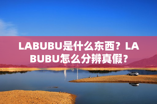 LABUBU是什么东西？LABUBU怎么分辨真假？
