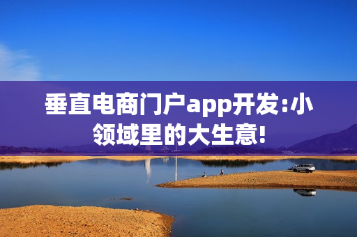 垂直电商门户app开发:小领域里的大生意!