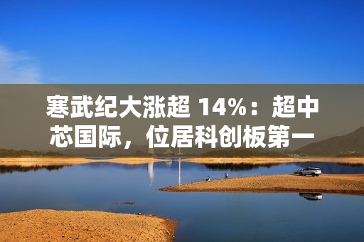 寒武纪大涨超 14%：超中芯国际，位居科创板第一