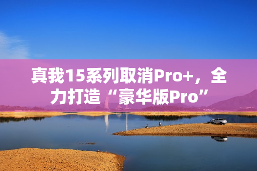 真我15系列取消Pro+，全力打造“豪华版Pro”