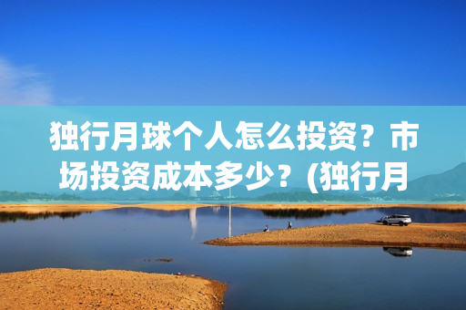独行月球个人怎么投资？市场投资成本多少？(独行月球电影女主)