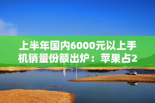 上半年国内6000元以上手机销量份额出炉：苹果占2/3